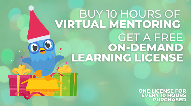 BUY 10 HOURS OF VIRTUAL MENTORING