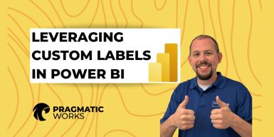 Leveraging Custom Labels in Power BI
