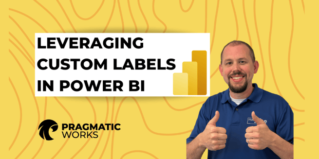 Leveraging Custom Labels in Power BI