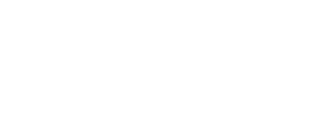 Pragmatic Works